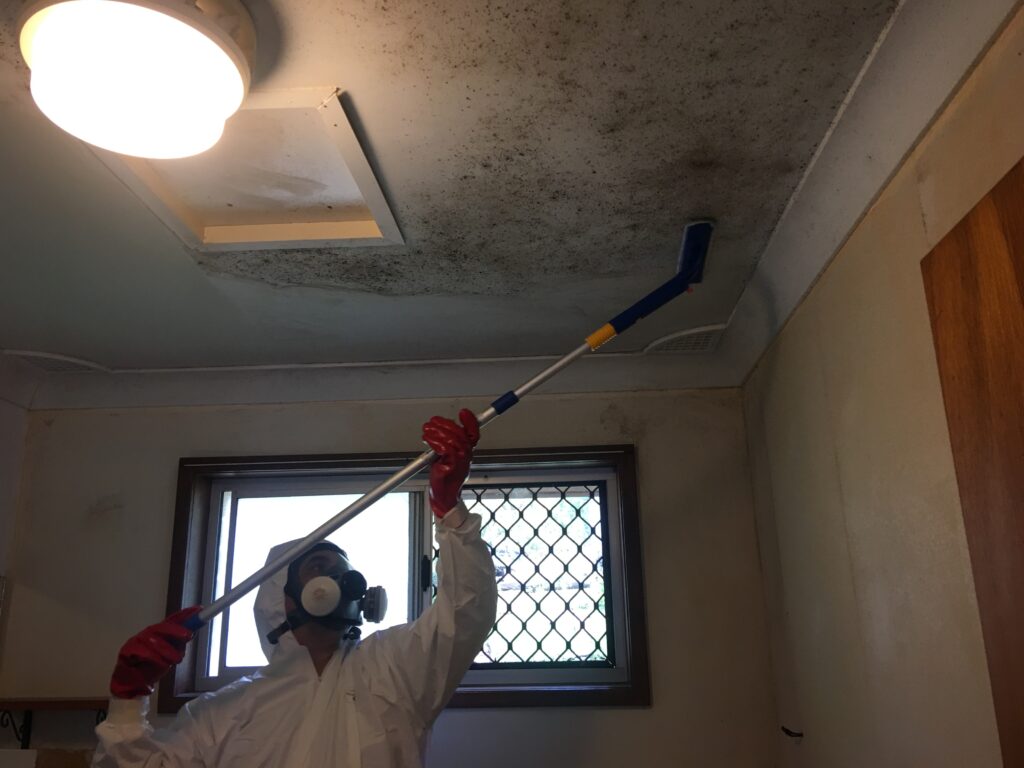 Mould removal Brisbane